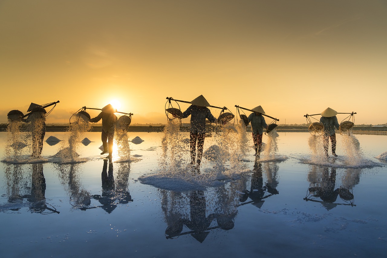 salt-harvesting-3060093_1280.jpg